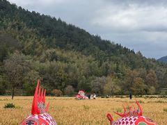 -塔川景区