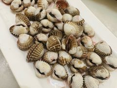 -华盛丰温州大排档(东三环南路店)