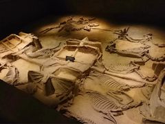 -洛阳周王城天子驾六博物馆