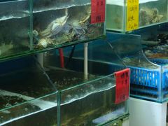 -阿弟特色海鲜餐厅·大排档(平潭店)