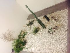 -禾康家蛋糕店