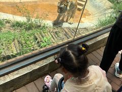 -昆明动物园