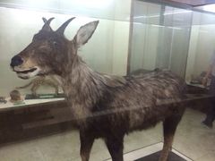 iphone_upload_pic-下渚湖国家湿地公园科普馆