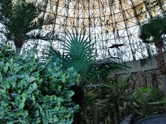 -西峡恐龙遗迹园