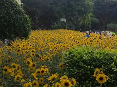 -南宁南湖公园