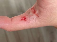 -振鼎鸡(华阴路店)