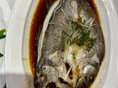 -眉州东坡(团结湖店)