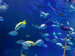 -沈阳海洋探索中心