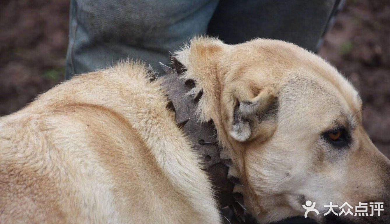 涨涨见识