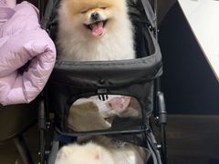 -阿露佳·舌尖上的安吉菜