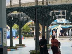 -海合安成都极地海洋公园
