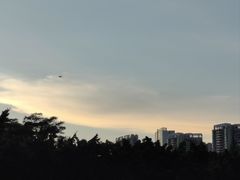 -福田红树林生态公园