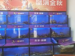 -蟹状元大闸蟹·年货·粽子(成都成华店)