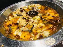 沸腾水煮鱼-新沸腾鱼乡(世贸天阶店)