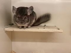 -龙猫仔乐园(惠福东路店)