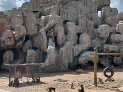 -大青山野生动物园