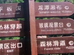 -龙湾潭国家森林公园