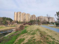 -两河城市森林公园