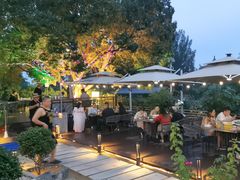 -蘇河湾·新鲁菜·泰山宴(泰山店)