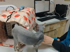 -宠颐生宠物医院·综合诊疗(先锋分院)