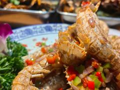 -食鸡公社辣子鸡·潍坊菜·烧烤