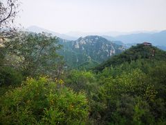 -大岭沟猕猴桃谷风景区