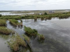 -盐城丹顶鹤湿地生态旅游区