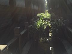 -唔呶喔哩酒家(生产街店)
