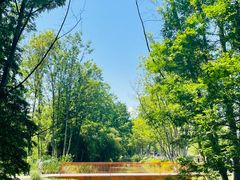 -桤木河湿地公园