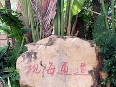 -清水湾旅游度假区