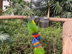 -南宫五洲植物乐园