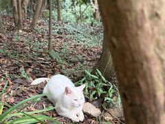 -采石矶景区