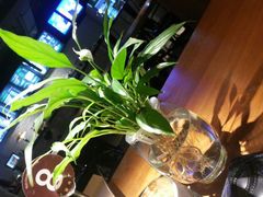 android_upload_pic-JINNS锦时 steak&pizza(浸信会礼拜堂旧址店)