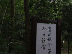 -兰亭风景区