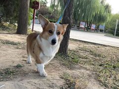 -心仪动物医院·牙专科·肿瘤·心脏科(西客站院)