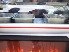 -鸿运兔·手撕烤兔(天府广场店)