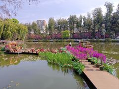 -翠湖公园