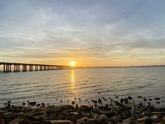 -宝安西湾红树林湿地公园