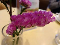 -哈根达斯(石家庄北国店)