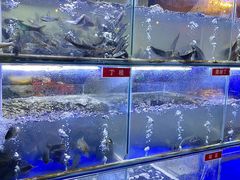 -石锅苗苗鱼(武汉首店)