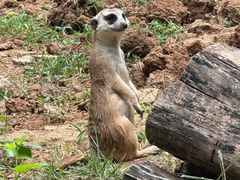 -1点点(银座和谐广场店)