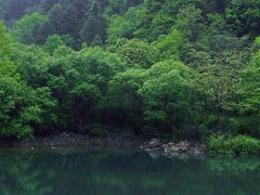 -朝阳沟