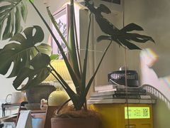 -本無咖啡·BeanWood Coffee
