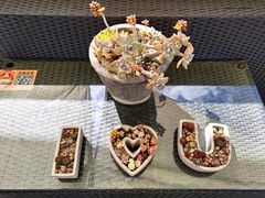 -喜林苑·稻田餐厅(品相府店)