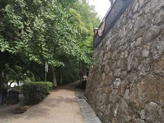 -伯先公园
