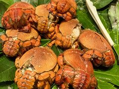 -初色海鲜自助(万丰路店)