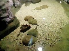 -北海·海洋之窗