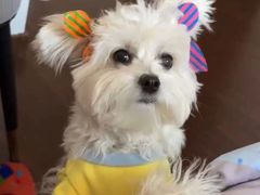 -星伦多自助料理·涮烤一体(嘉兴八佰伴店)