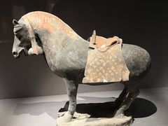 -大同市博物馆