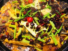 -老板恋上鱼(恒隆广场店)